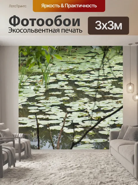 Фотообои лилии