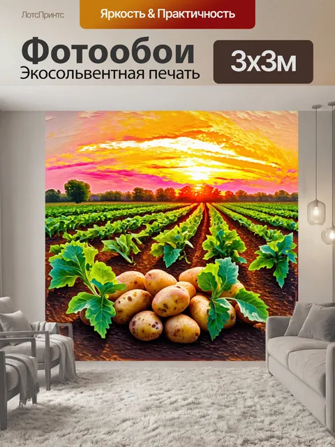 Фотообои панорама картофельного поля на закате