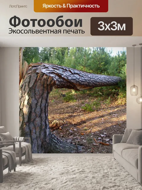 Фотообои Дерево