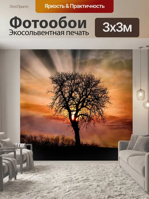 Фотообои Рассвет