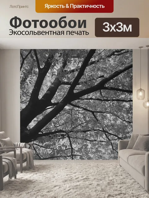 Фотообои 흑백