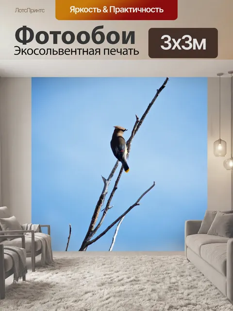 Фотообои Птичка на ветке