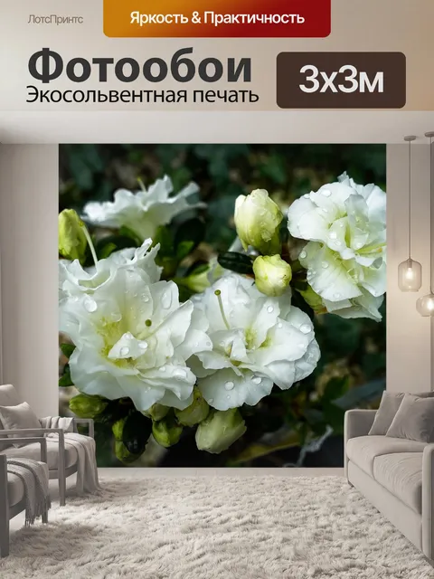 Фотообои Цветок
