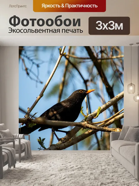 Фотообои Птица