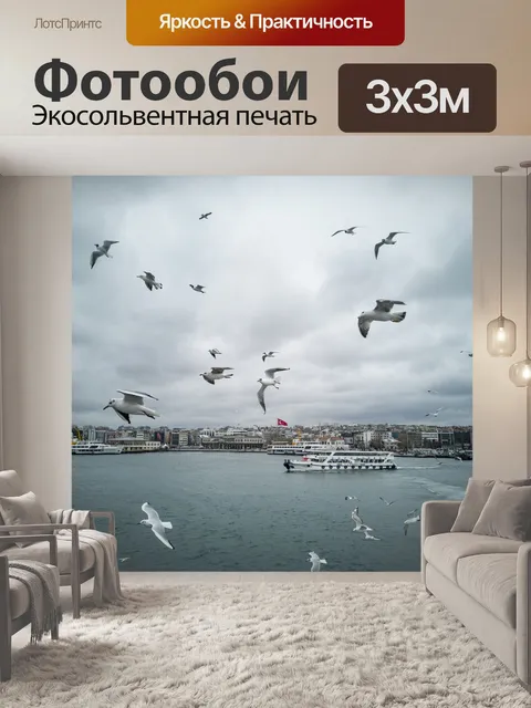 Фотообои Чайки
