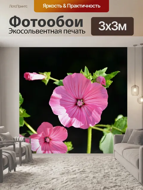 Фотообои Цветы цветок