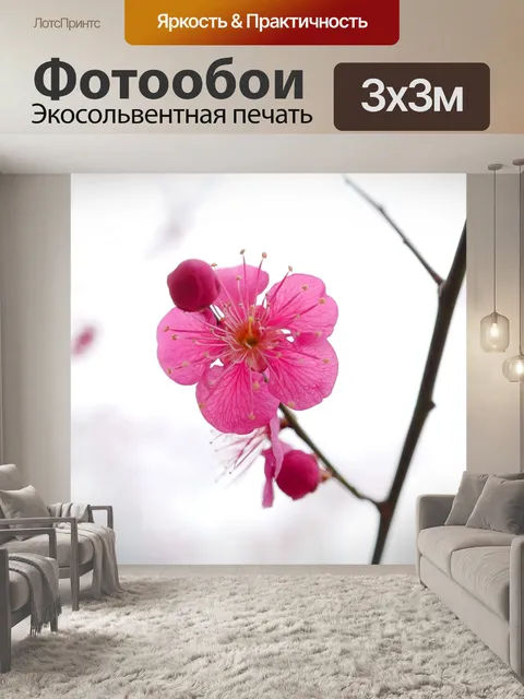 Фотообои Цветок