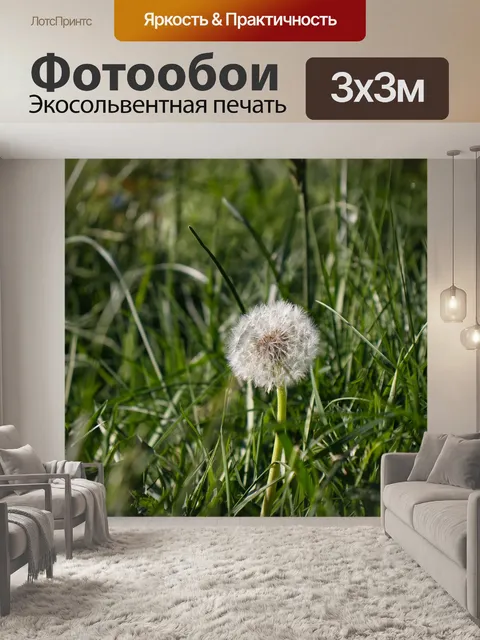 Фотообои Одуванчик
