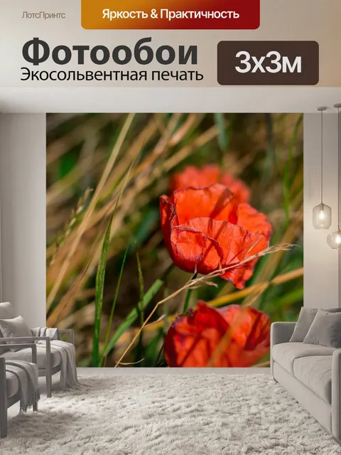 Фотообои Маки