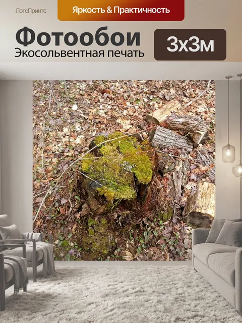 Фотообои Пень