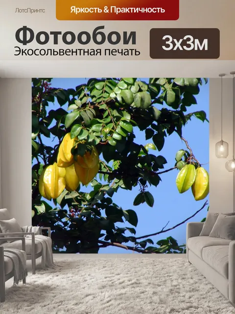 Фотообои Карамбола