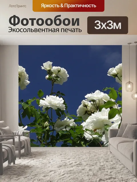 Фотообои Розы цветы
