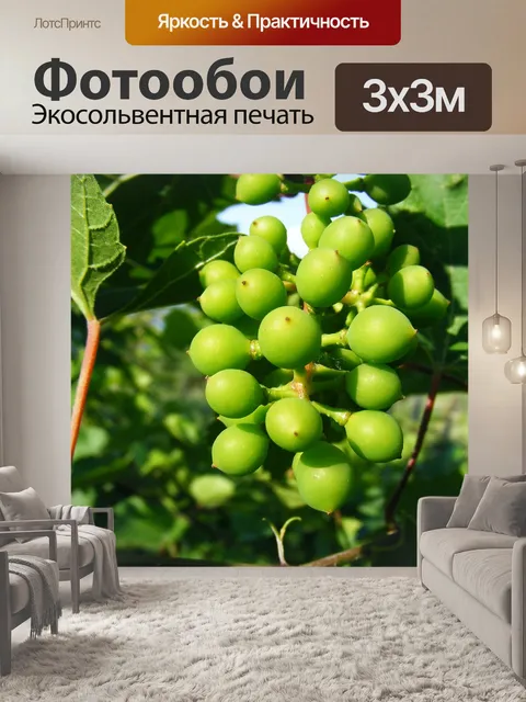 Фотообои Природа
