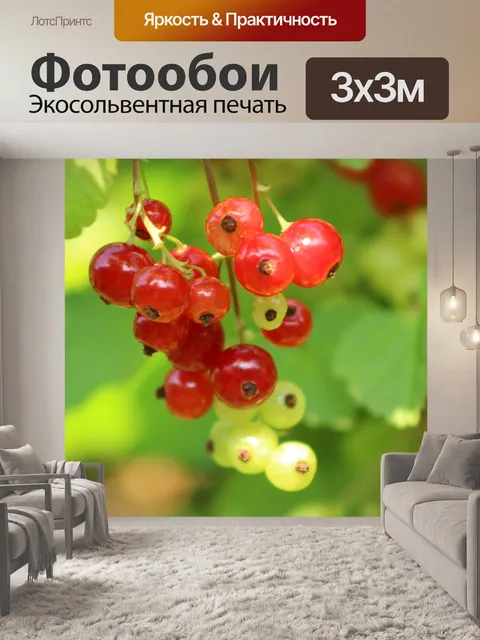 Фотообои Зеленый
