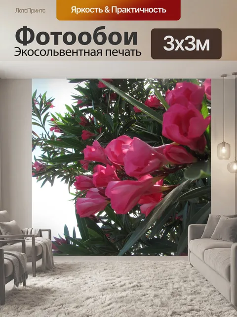 Фотообои Цветы