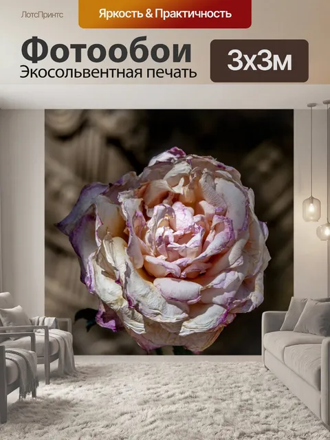 Фотообои Выветренная роза