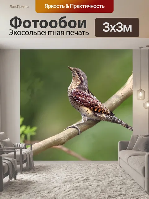 Фотообои Древесина