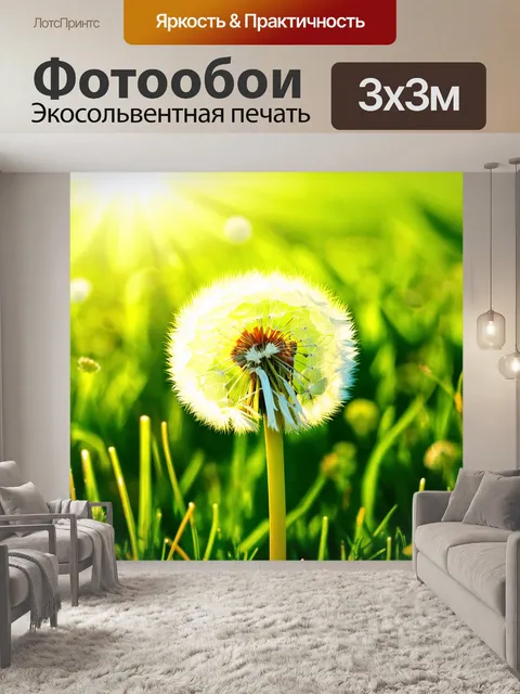 Фотообои одуванчик в момент расцвета на зеленом лугу