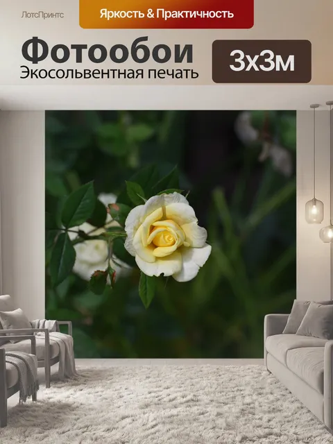 Фотообои Цветы