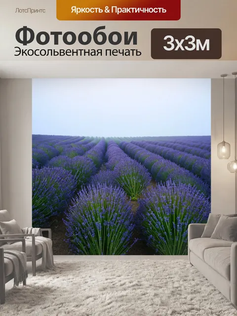Фотообои туман в стиле мультяшный, лавандовые поля, скрытые под легким утренним туманом