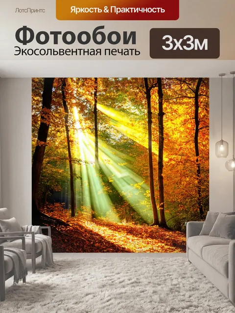 Фотообои лес с яркими осенними листьями, тонкие лучи солнца пробиваются сквозь кроны