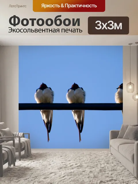 Фотообои Птица