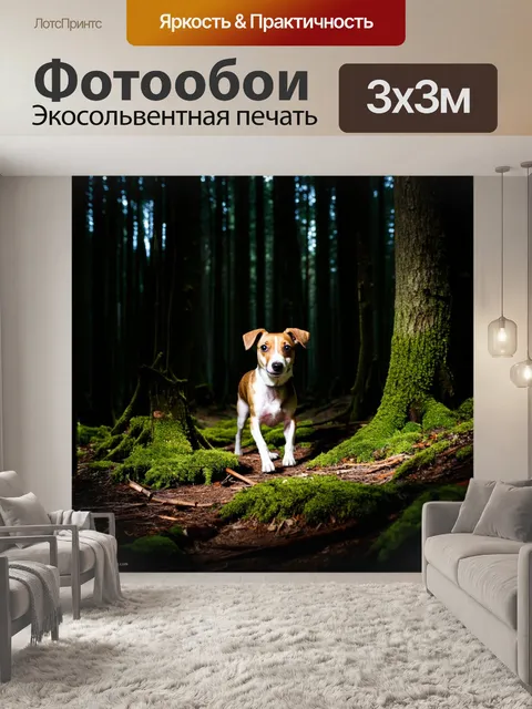 Фотообои темный лес с таинственной атмосферой