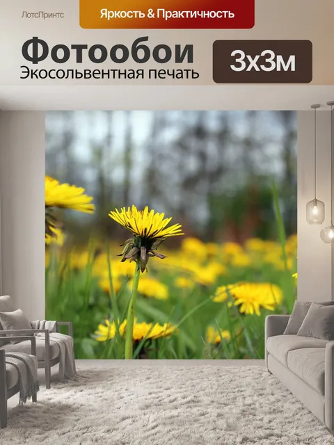 Фотообои Одуванчики