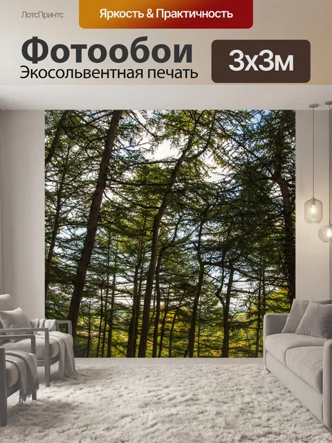 Фотообои лес