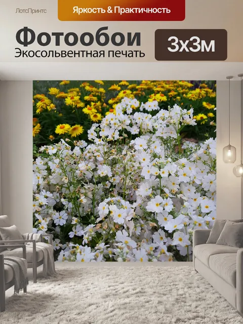 Фотообои Цветок