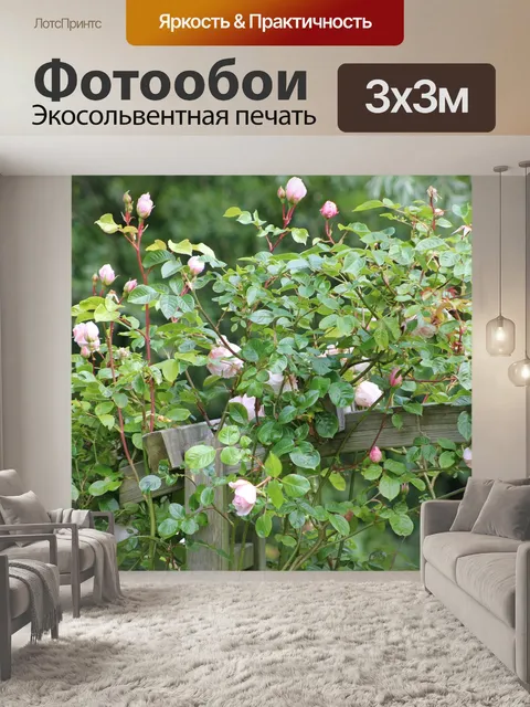 Фотообои Цветы