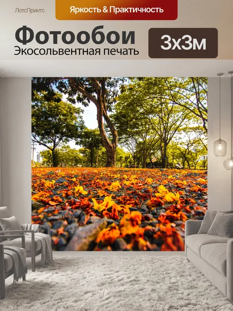 Фотообои Упал