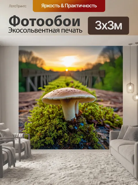 Фотообои грибы, растущие на старом мосту с великолепным видом на закат