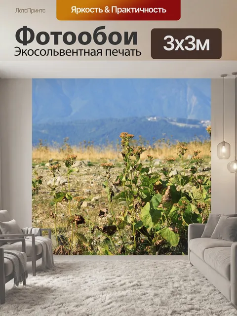 Фотообои Цветы