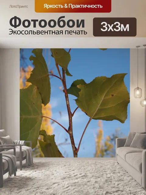 Фотообои Листы