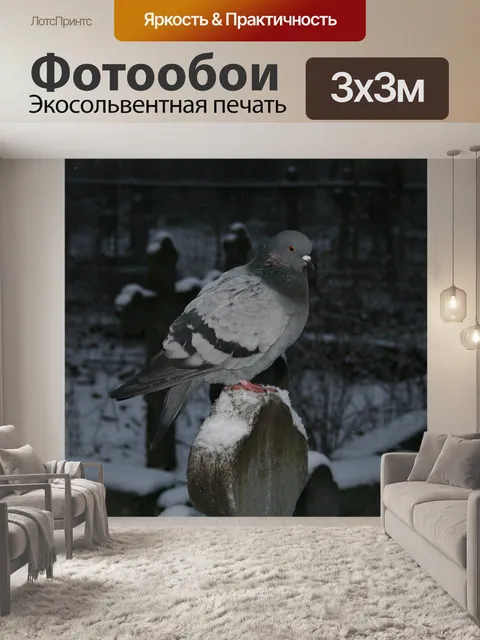 Фотообои Птица