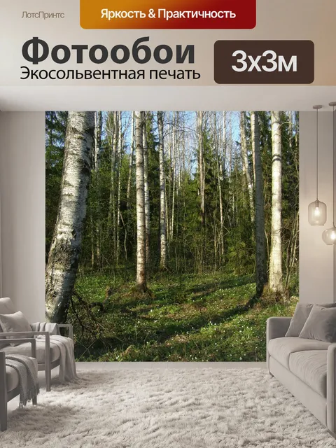 Фотообои Лес