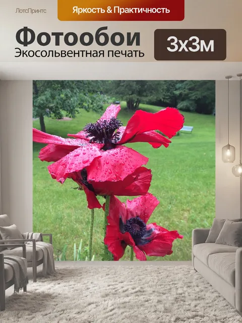 Фотообои Маки