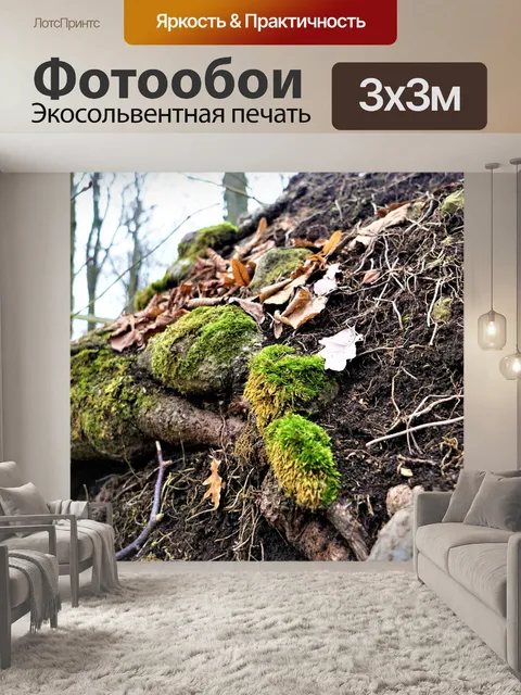 Фотообои Лес