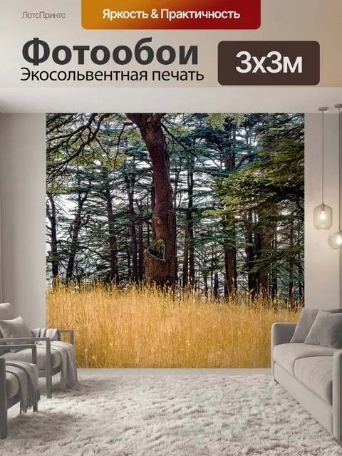 Фотообои Лес