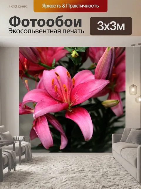 Фотообои Цветок
