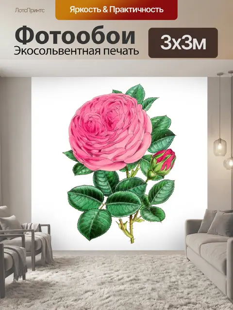 Фотообои Нарисованный цветок розы