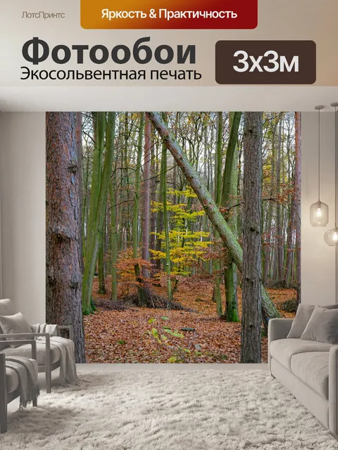 Фотообои Деревья