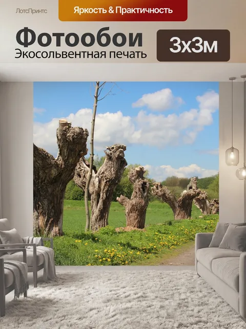 Фотообои Пастись