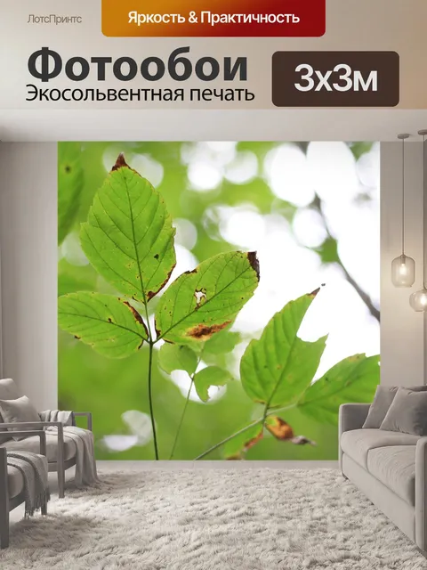 Фотообои Листья