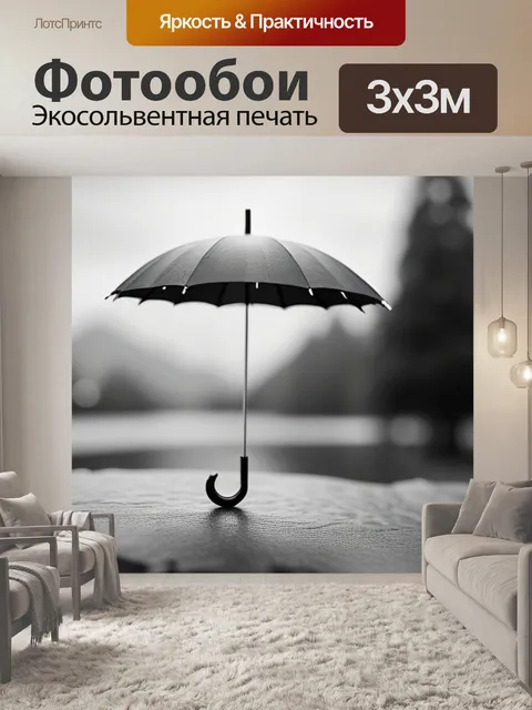 Фотообои пейзаж с зонтом чернобелый