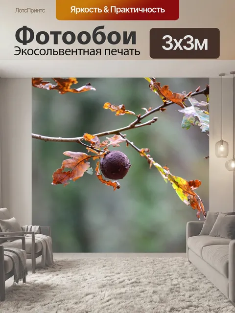 Фотообои Фрукты