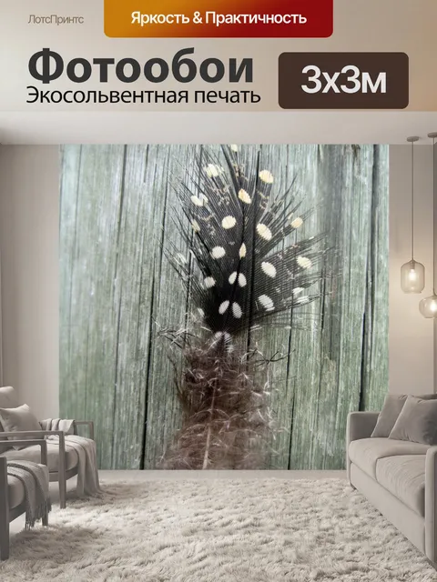 Фотообои цесарки перо
