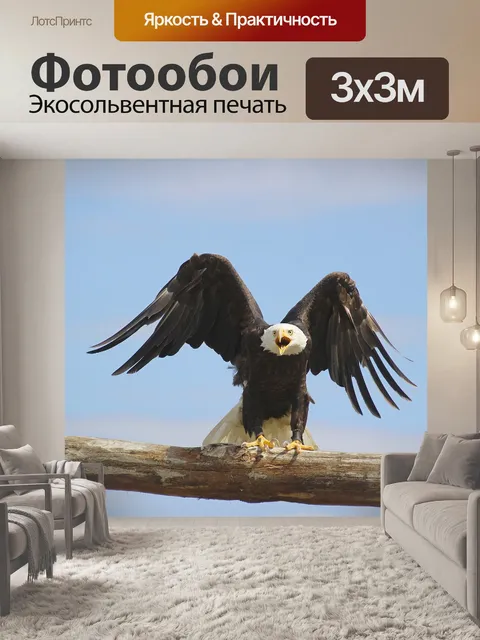 Фотообои Орел