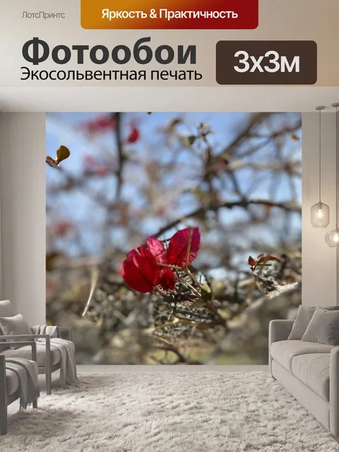 Фотообои Пейзаж